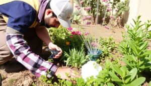 أعمال صيانة لحديقة في منطقة السالمية