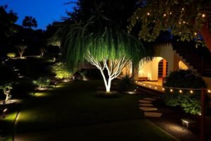 إضاءة خارجية مميزة في حديقة بالمنصورية