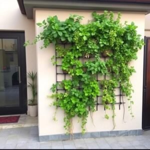 حديقة عمودية على جدار منزل في الخالدية