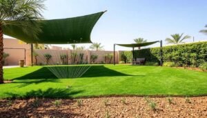 حلول مبتكرة للتغلب على تحديات زراعة الثيل في الكويت حلول مبتكرة للتغلب على تحديات زراعة الثيل في الكويت