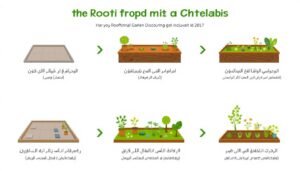 خطوات تنفيذ مشروع تنسيق حدائق اسطح
