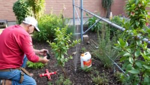 صيانة دورية لحديقة في منطقة الزهراء