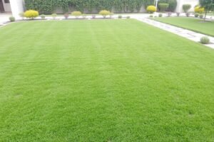 مسطحات خضراء منسقة في حديقة بالخالدية