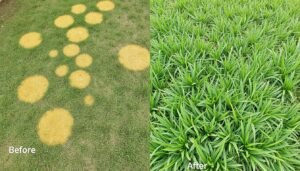 مشاكل شائعة في الثيل الطبيعي وطرق علاجها