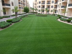 مشروع حديقة مجمع سكني مع عشب طبيعي من تنفيذ جنى البستان
