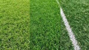 مقارنة بين أنواع أرضيات ملاعب كره القدم المختلفة