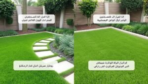 مقارنة بين العشب الصناعي والعشب الطبيعي توضح المميزات الرئيسية لكل منهما