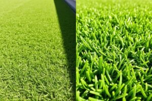 مقارنة بين ثيل امغره جديد وآخر بعد سنوات من الاستخدام مع الصيانة المناسبة مقارنة بين ثيل امغره جديد وآخر بعد سنوات من الاستخدام مع الصيانة المناسبة