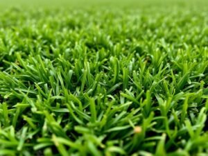 ملعب كرة قدم مغطى بثيل صناعي حديث ملعب كرة قدم مغطى بثيل صناعي حديث