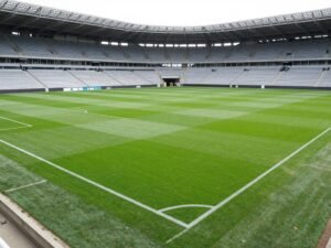 ملعب كرة قدم نظامي بالعشب الطبيعي مع مدرجات