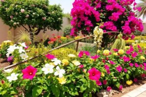 نباتات مزهرة وزخرفية تضيف ألواناً لحدائق الشامية بالكويت