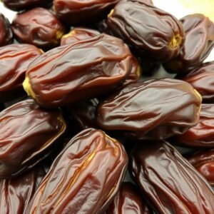 نخيل المجهول ذو القيمة التسويقية العالية في زراعة نخيل نخيل المجهول ذو القيمة التسويقية العالية في زراعة نخيل