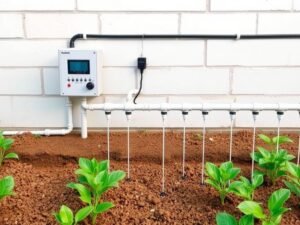 نظام ري حديث بالتنقيط في حديقة بمنطقة الرميثية يساعد في تنسيق حدائق الرميثية