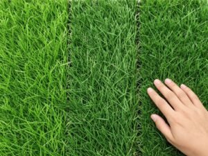 أنواع مختلفة من العشب الصناعي في أمغرة