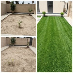 تركيب ثيل صناعي في حديقة منزلية بالكويت