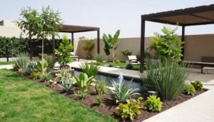 تصميم حديقة تراعي المناخ الكويتي مع تنوع في النباتات المحلية