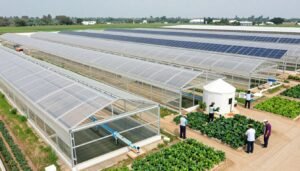 مشروع زراعي حديث في الكويت بدعم من المبادرات الحكومية