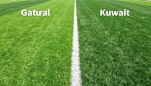 مقارنة بين الثيل الصناعي والطبيعي في الكويت