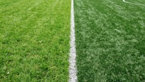 مقارنة بين العشب الطبيعي والعشب الصناعي من حيث المظهر والملمس