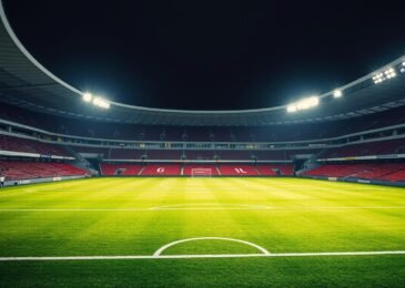 ملعب كرة قدم مغطى بثيل عالي الجودة