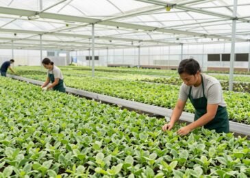 زراع المشاتل