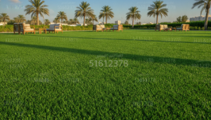 عشب صناعي