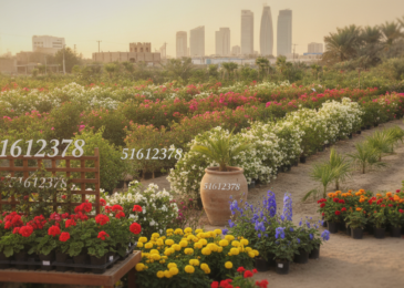 مشاتل الكويت | 51612378