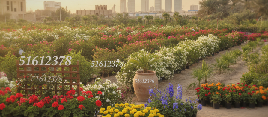 مشاتل الكويت | 51612378