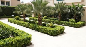 تنظيف وصيانة حديقة منزلية جميلة النهضة